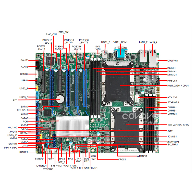 ASMB-825