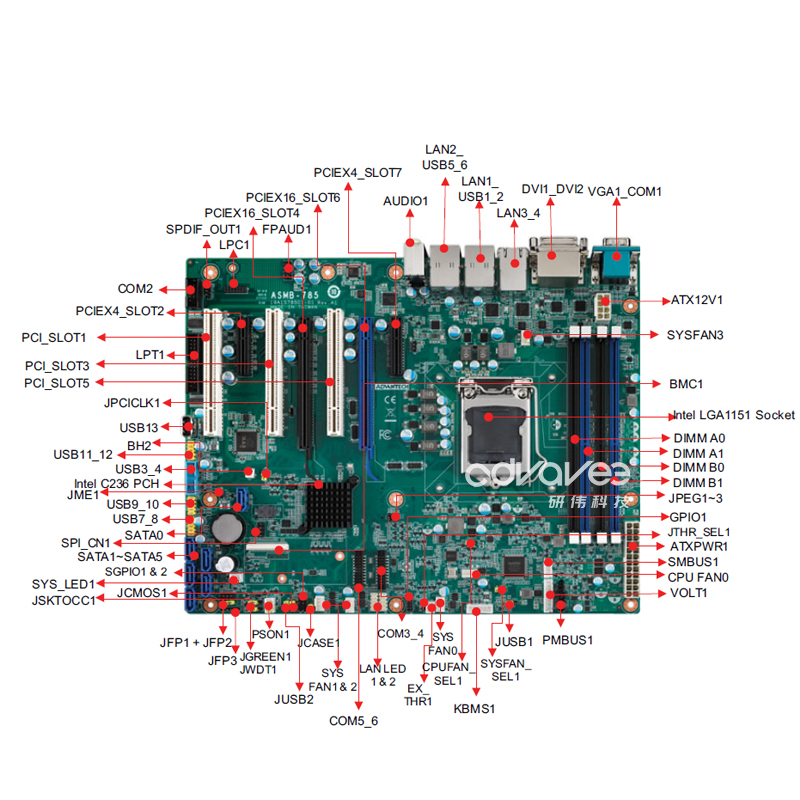 ASMB-785