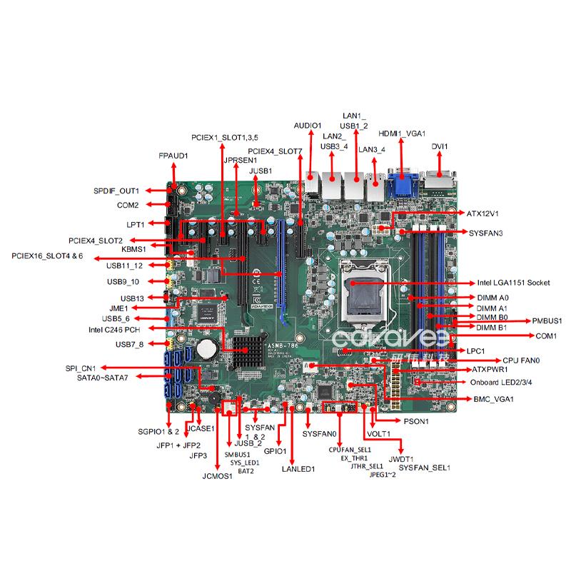 ASMB-786