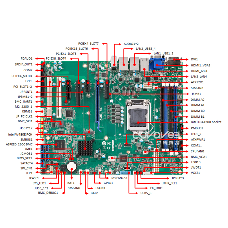 ASMB-787